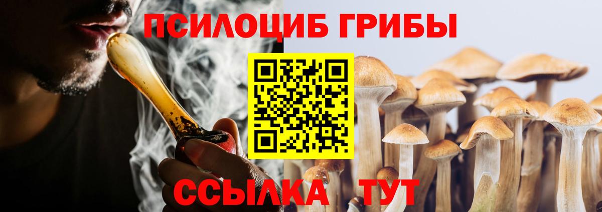Галлюциногенные грибы Psilocybe Нефтекумск
