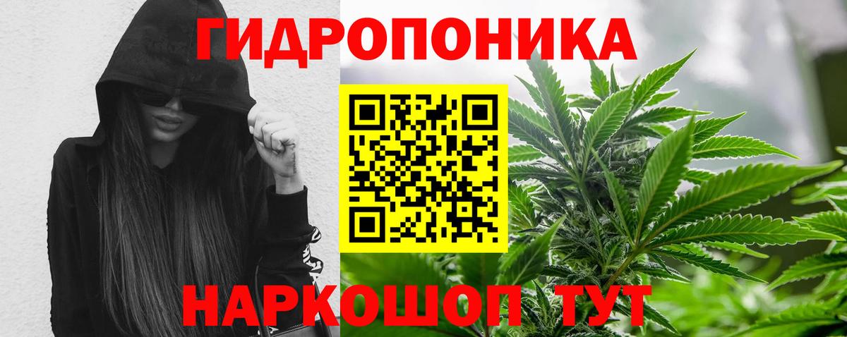 Марихуана LSD WEED  Бошки Шишки VHQ  Нефтекумск  Вход с VPN 
